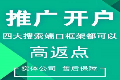 实战技巧：竞价推广案例解析与优化策略