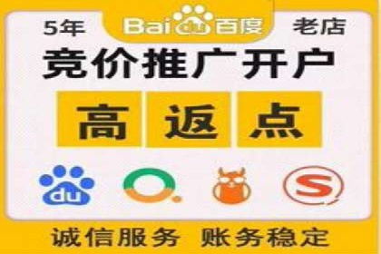 百度推广实战技巧：案例详解